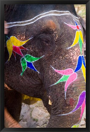 Framed Elephant at Amber Fort, Rajasthan, Jaipur, India Print