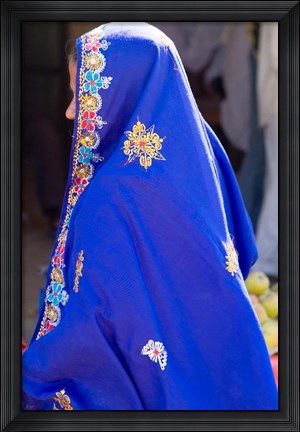Framed Sari Woman, New Delhi, India Print