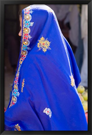 Framed Sari Woman, New Delhi, India Print