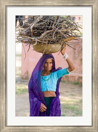 Framed Woman Carrying Firewood on Head in Jungle of Ranthambore National Park, Rajasthan, India Print