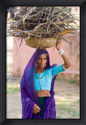 Framed Woman Carrying Firewood on Head in Jungle of Ranthambore National Park, Rajasthan, India Print