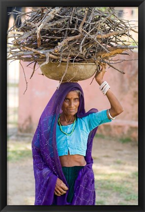 Framed Woman Carrying Firewood on Head in Jungle of Ranthambore National Park, Rajasthan, India Print