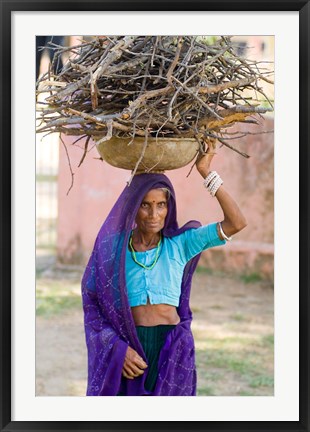 Framed Woman Carrying Firewood on Head in Jungle of Ranthambore National Park, Rajasthan, India Print