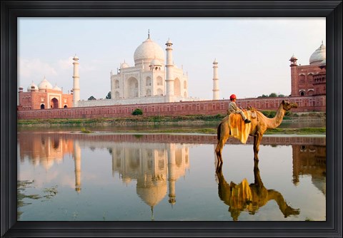 Framed Young Boy on Camel, Taj Mahal Temple Burial Site at Sunset, Agra, India Print
