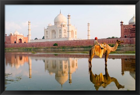 Framed Young Boy on Camel, Taj Mahal Temple Burial Site at Sunset, Agra, India Print