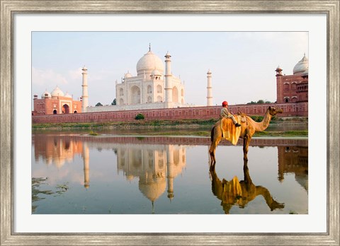 Framed Young Boy on Camel, Taj Mahal Temple Burial Site at Sunset, Agra, India Print