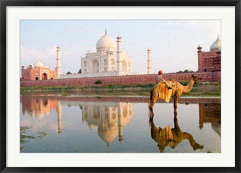 Framed Young Boy on Camel, Taj Mahal Temple Burial Site at Sunset, Agra, India Print