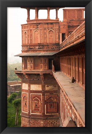 Framed Agra Fort, Agra, Uttar Pradesh, India Print