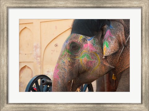 Framed Decorated elephant at the Amber Fort, Jaipur, Rajasthan, India. Print
