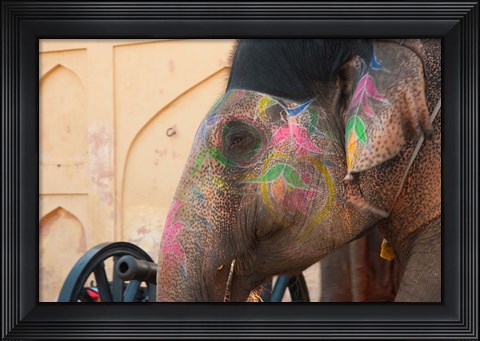 Framed Decorated elephant at the Amber Fort, Jaipur, Rajasthan, India. Print