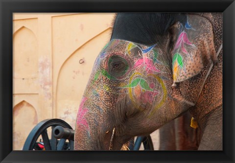 Framed Decorated elephant at the Amber Fort, Jaipur, Rajasthan, India. Print
