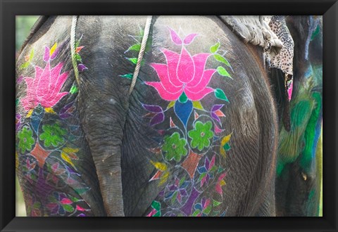 Framed Elephant Decorated with Colorful Painting at Elephant Festival, Jaipur, Rajasthan, India Print