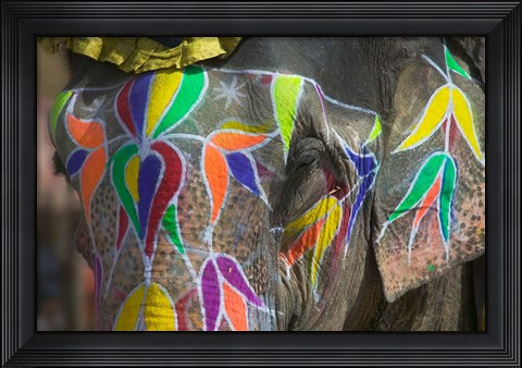 Framed Elephant Decorated with Colorful Painting, Jaipur, Rajasthan, India Print