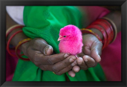 Framed Woman and Chick Painted with Holy Color, Orissa, India Print