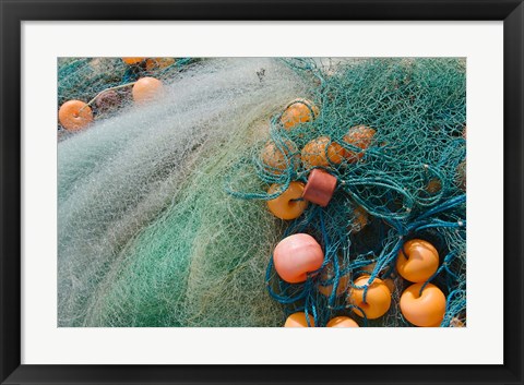 Framed Fisherman harvesting fish on the beach, Goa, India Print