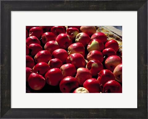 Framed India, Ladakh, Leh. Apples at market in Lamayuru Print