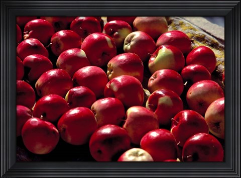 Framed India, Ladakh, Leh. Apples at market in Lamayuru Print
