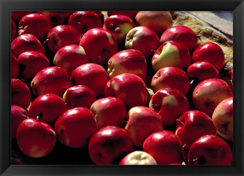 Framed India, Ladakh, Leh. Apples at market in Lamayuru Print