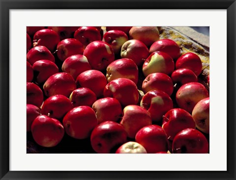 Framed India, Ladakh, Leh. Apples at market in Lamayuru Print