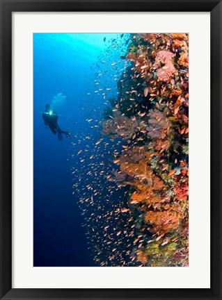 Framed Diver with light next to vertical reef formation, Pantar Island, Indonesia Print