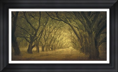 Framed Evergreen, New Alley, Right Side Print