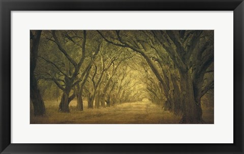 Framed Evergreen, New Alley, Right Side Print