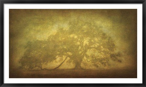 Framed St. Joe Plantation Oak in Fog 3 Print