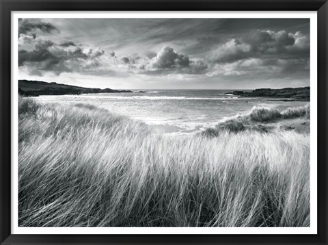 Framed Sea Grass Print