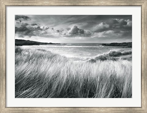 Framed Sea Grass Print