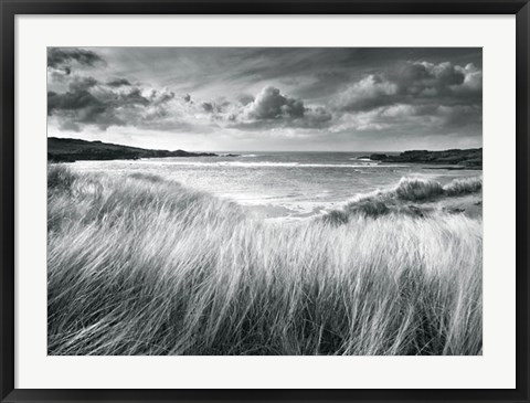 Framed Sea Grass Print