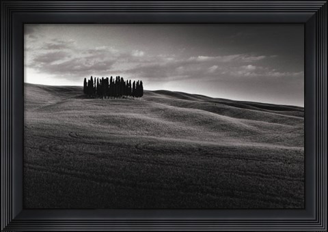 Framed Cypresses and Rolling Hills Print