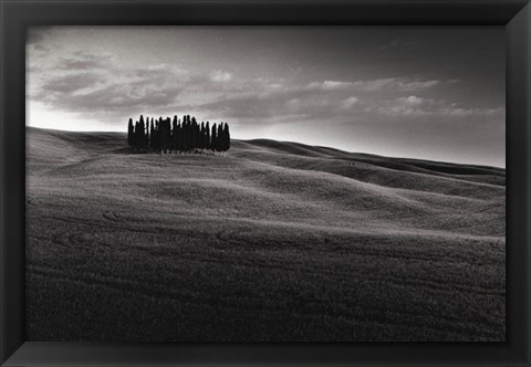 Framed Cypresses and Rolling Hills Print