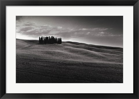 Framed Cypresses and Rolling Hills Print