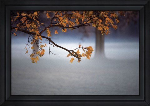 Framed Fog Leaf Print