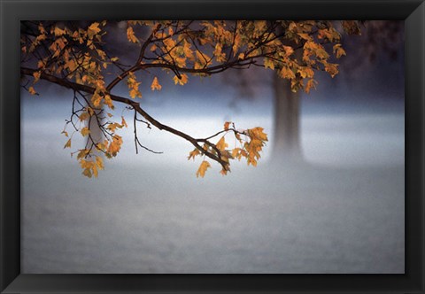 Framed Fog Leaf Print