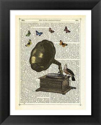 Framed Gramophone, Bird &amp; Butterflies Print