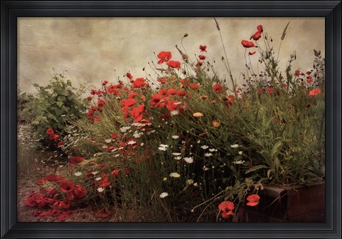 Framed Poppy Garden Print