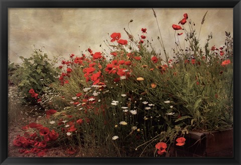 Framed Poppy Garden Print