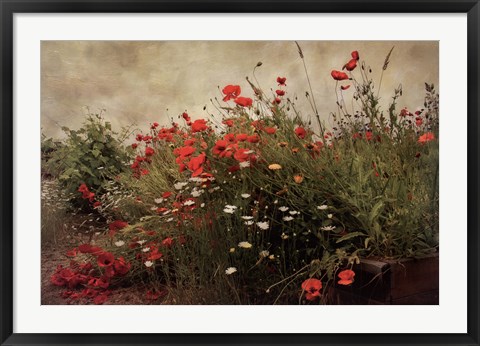 Framed Poppy Garden Print