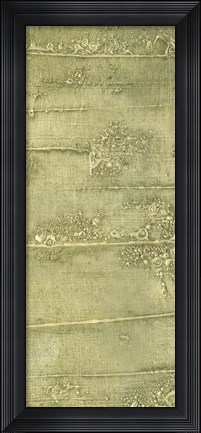 Framed Boardwalk I Print