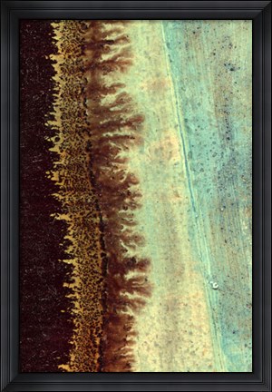 Framed Lichen I Print
