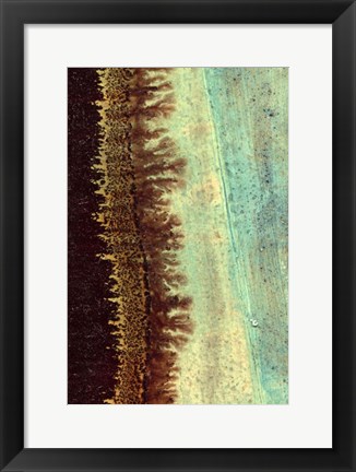 Framed Lichen I Print