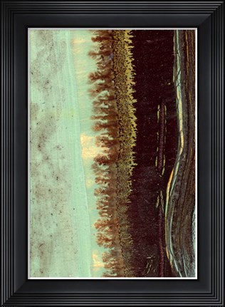 Framed Lichen II Print