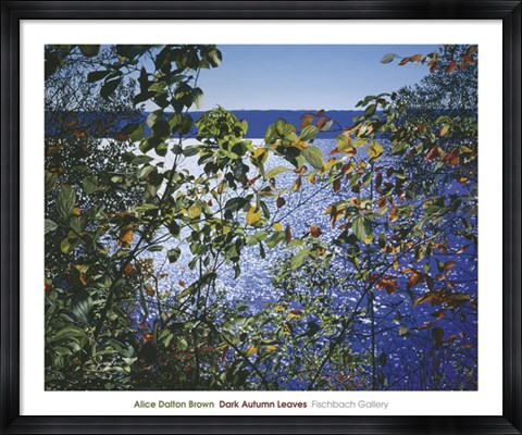 Framed Dark Autumn Leaves Print