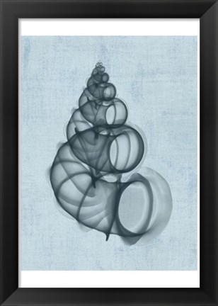 Framed Wentletrap Shell (light blue) Print