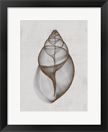 Framed Achatina Shell Print