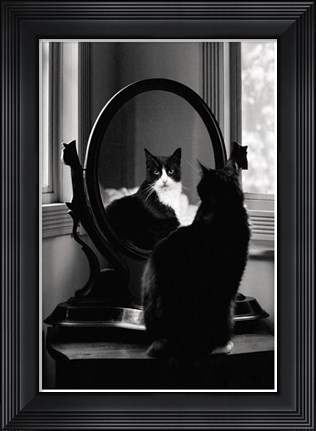 Framed Reflection Print