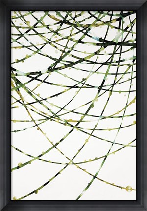 Framed Moss Vine Print