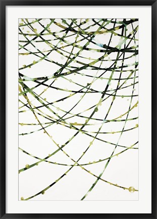 Framed Moss Vine Print