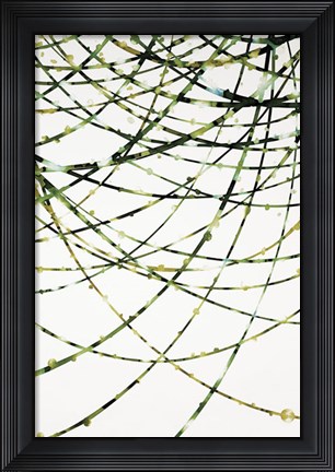 Framed Moss Vine Print